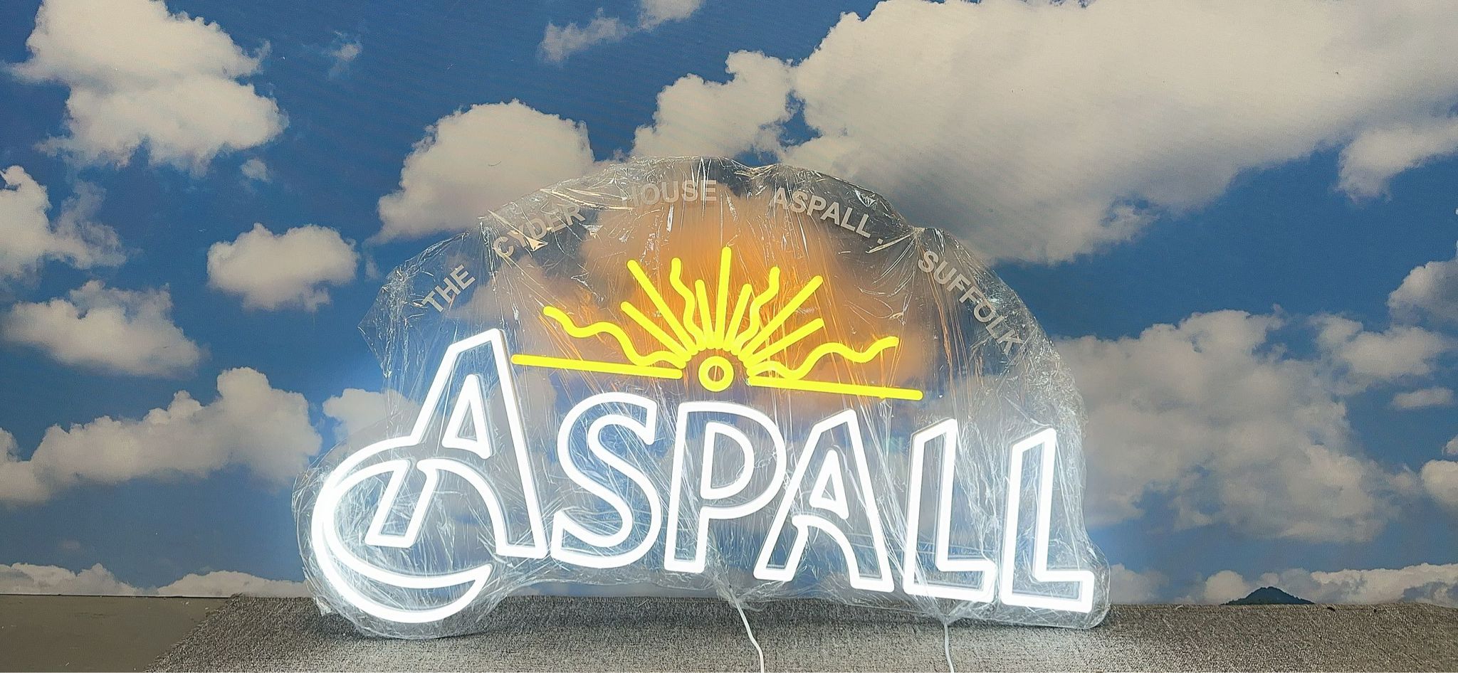 LED Faux Neon Signs