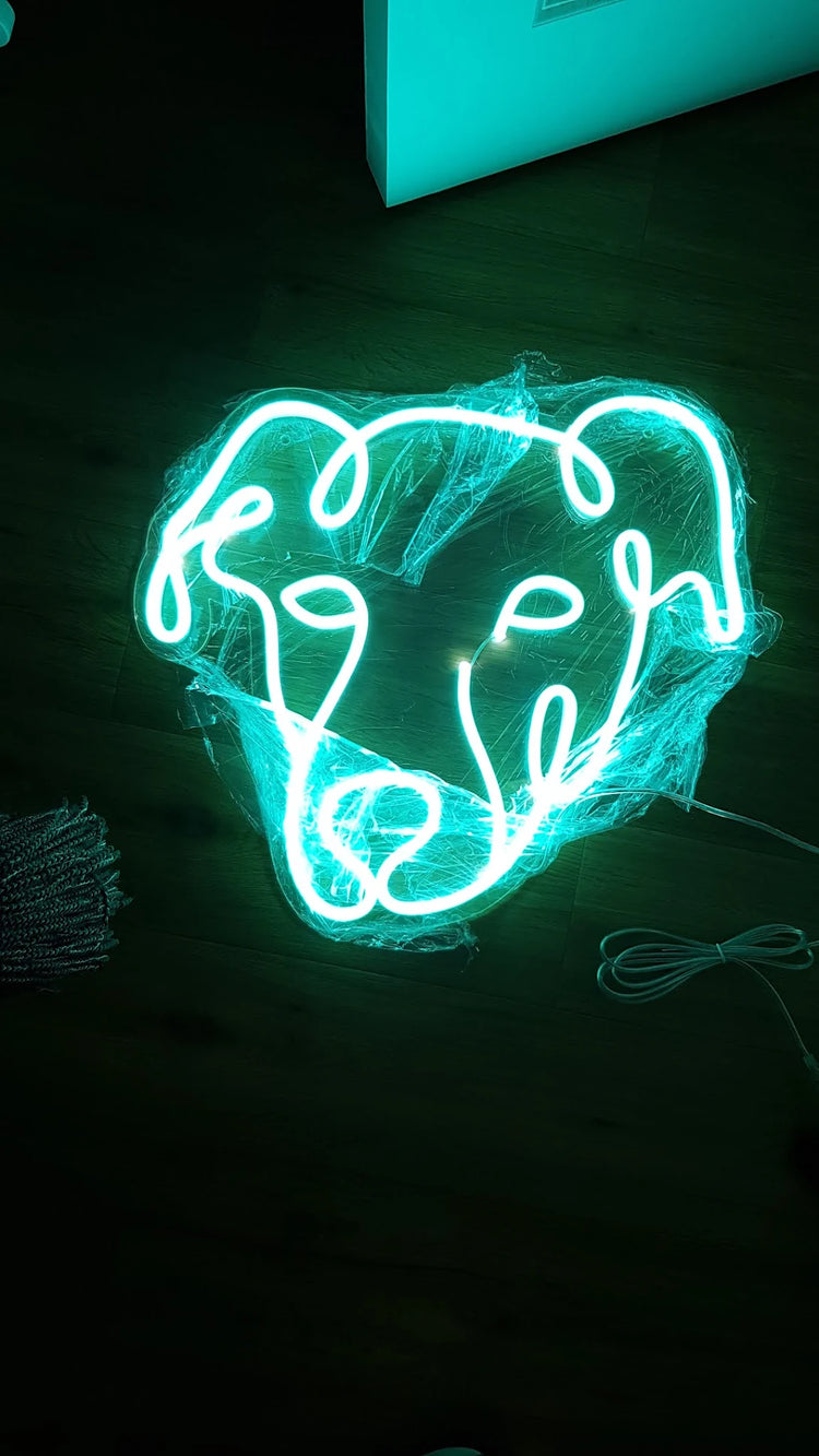 Rue Amusement Lighting